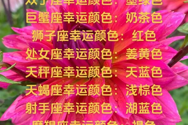 十二星座的永久幸运色 十二星座永久幸运色大揭秘助你运势飙升