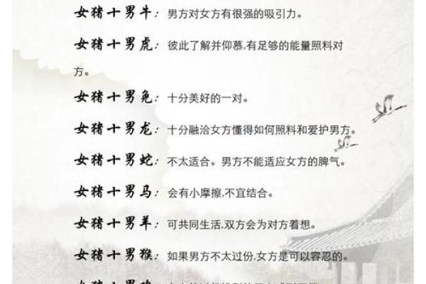 属狗男和属猪女婚姻配对天生一对还是水火不容