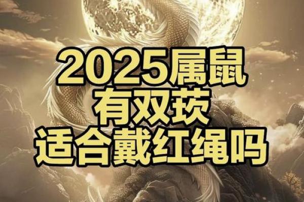 1984年属鼠2025年整体运势 1984年属鼠2025年整体运势