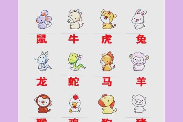 1966年1月生人属马年份生肖对照全解析