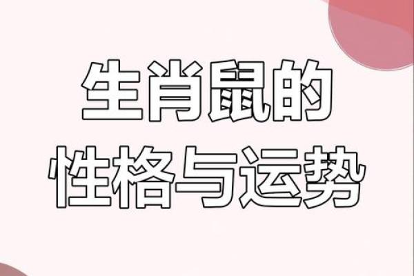1972年属鼠人的运势 1972年属鼠人的运势