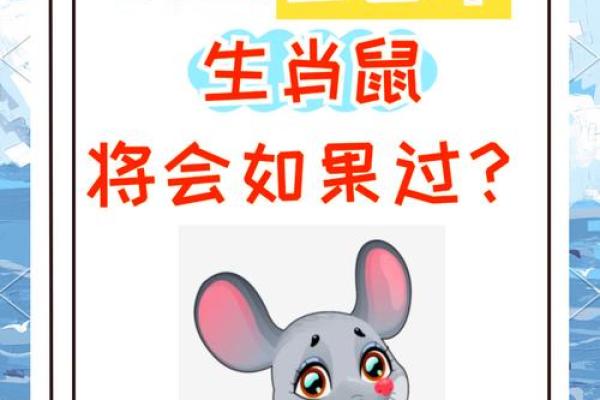 1996属鼠的今年运势如何 1996属鼠的今年运势如何