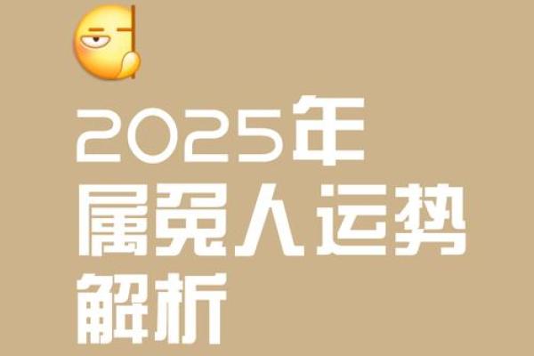 2025年属兔的人多大 2025年属兔的人多大年龄计算与运势解析