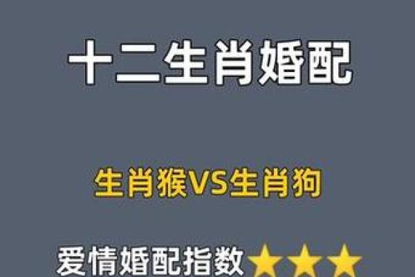 属狗的2025年运势和财运怎么样_属猴的2025年运势和财运怎么样呢女孩子