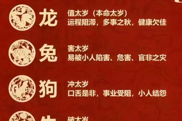 七老八十指什么生肖(七老八十是词语吗)