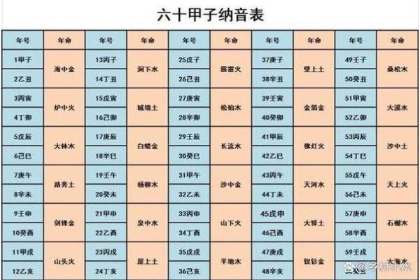 2023年是什么兔年五行属什么_2023年兔年五行属什么揭秘生肖与五行关系 2023年是什么兔年五行属什么_2023年兔年五行属什么揭秘生肖与五行关系