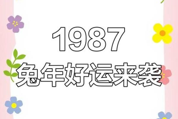 99年属兔到25岁的运势 99年属兔25岁运势解析未来一年运势如何 99年属兔到25岁的运势 99年属兔25岁运势解析未来一年运势如何