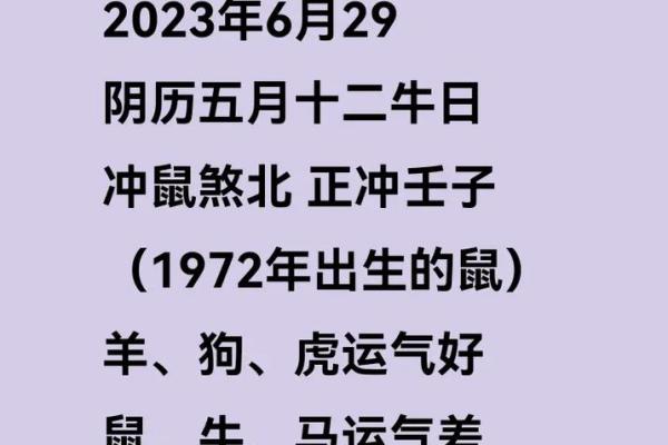 壬子鼠2025年运势大全