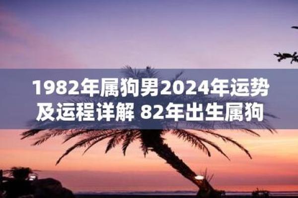 属狗人2025年运势及运程1982年出生_2025年属狗1982年生全年运势如何 属狗人2025年运势及运程1982年出生_2025年属狗1982年生全年运势如何