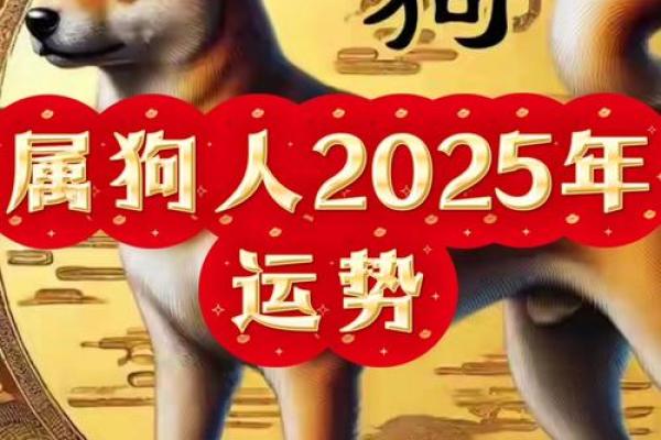 70属狗人2025年全年运势运程 1970属狗人2025年全年运势运程 70属狗人2025年全年运势运程 1970属狗人2025年全年运势运程