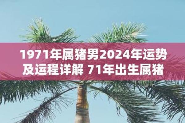 2025年1971年属猪人运势解析财运健康感情全预测