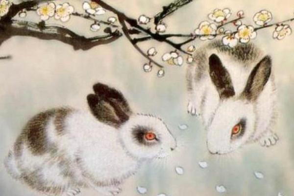 1999年属兔今年的姻缘怎样 1999年属兔的今年会结婚吗 1999年属兔今年的姻缘怎样 1999年属兔的今年会结婚吗