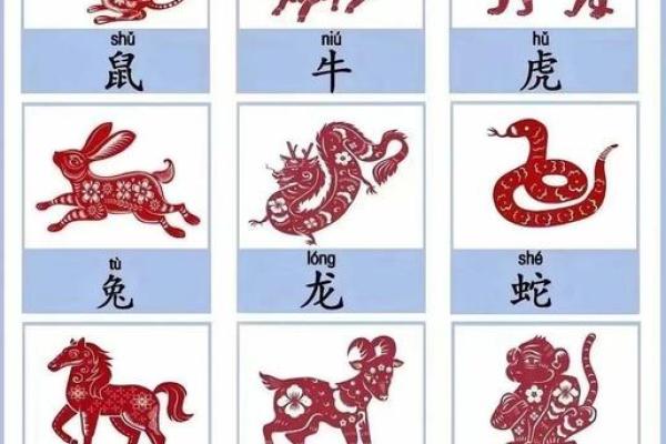 才高八斗是什么生肖(才高八斗是什么生肖和动物)