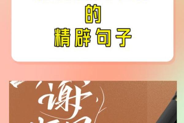 教师节感恩老师的话语 教师节感恩老师的话语