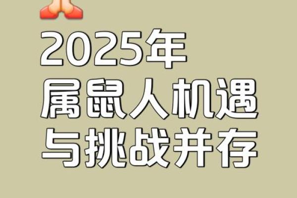 鼠今年的运势如何2025