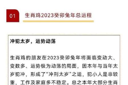 2024年属鸡人运势详解全年运程大揭秘