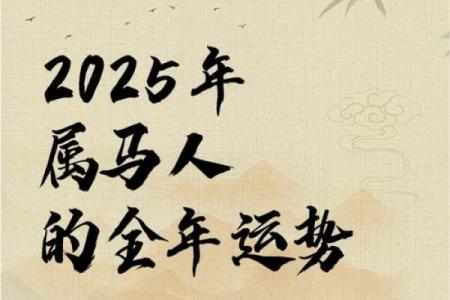 属马人运程 2024属马人运程详解事业财运健康运势全预测