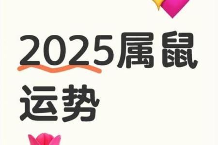 2025年属鼠人的运势