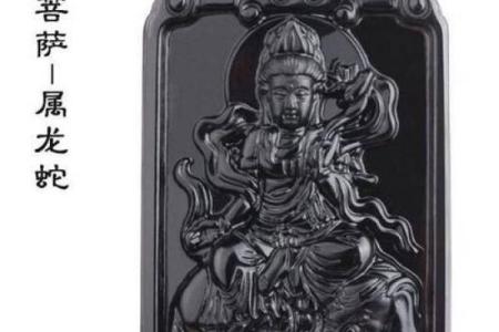 属龙的2025年佩戴什么好_属龙人2025