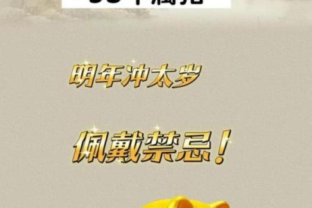 属猪2025年最旺的颜色 2025年属猪最旺颜色揭秘提升运势的关键色彩