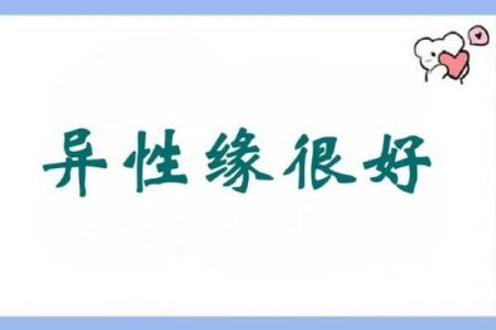 白羊女失去后才懂珍惜(白羊女失去才后悔)