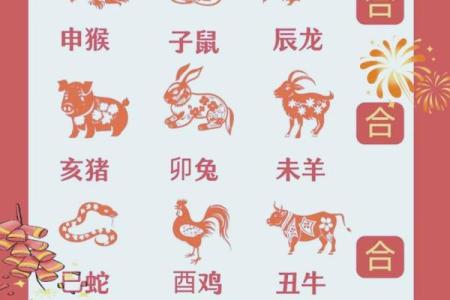 赤子望月是什么生肖