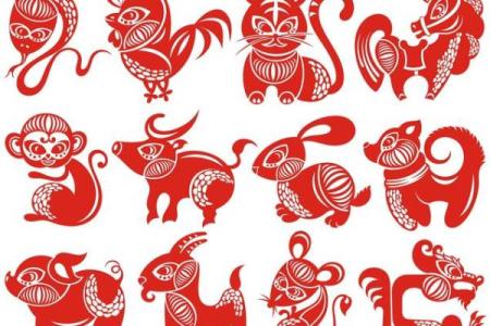 寻花问柳打一最佳生肖(寻花问柳打一最佳生肖动物)