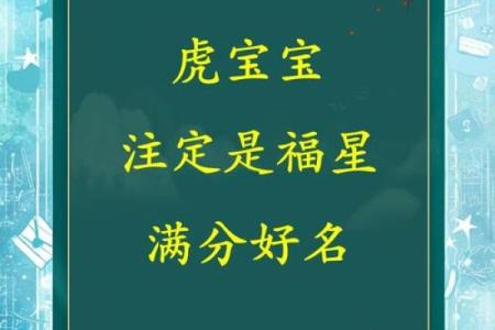 属虎宝宝男孩名字 寓指男孩才高八斗-在线八字网