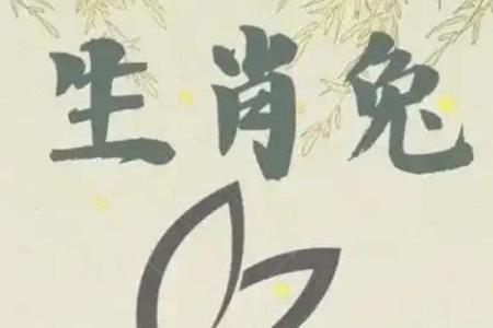 今年什么年2025年 兔年 2025年兔年运势解析今年什么年兔年大揭秘