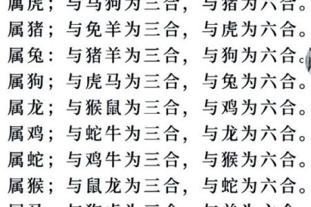 才高八斗是什么生肖(才高八斗是什么生肖和动物)