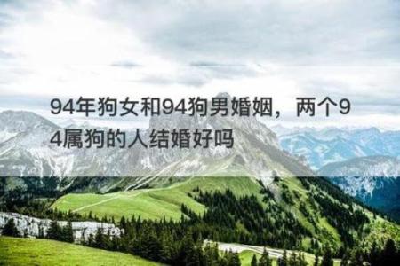 1994年属狗男2025年运势与婚姻解析