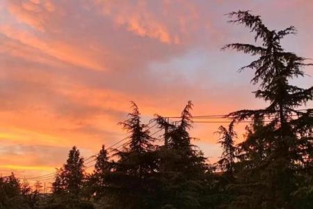 日落西山代表什么生肖(日落西山什么生肖)