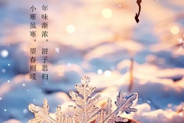 小寒大寒冻成一团是什么意思 小寒大寒冻成一团是什么意思