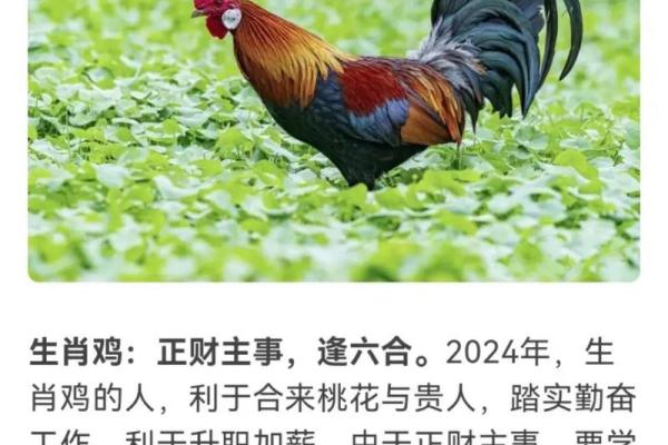 2024甲辰龙年运势解析64年属龙者全年运程与每月吉凶 2024甲辰龙年运势解析64年属龙者全年运程与每月吉凶