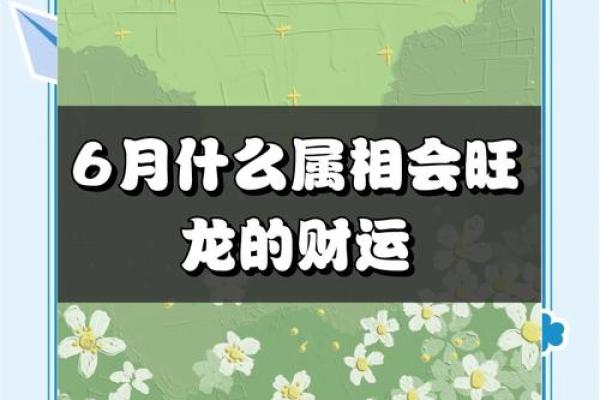 1976年属龙48岁财运 1976年属龙人48岁甲辰年财运解析农历这些月份财星高照 1976年属龙48岁财运 1976年属龙人48岁甲辰年财运解析农历这些月份财星高照