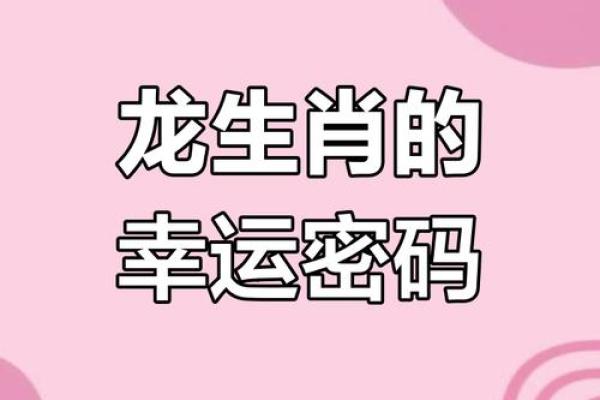 属龙人2025全年运势详解逐月运程完整指南 属龙人2025全年运势详解逐月运程完整指南