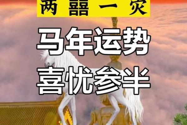 2024年66年属马人今日运势解析财运事业吉凶预测
