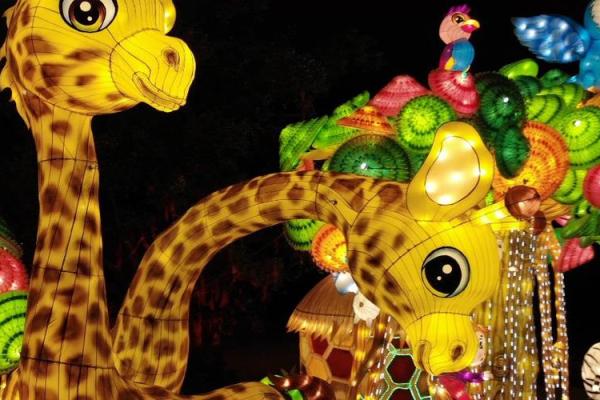 五光十色打一生肖