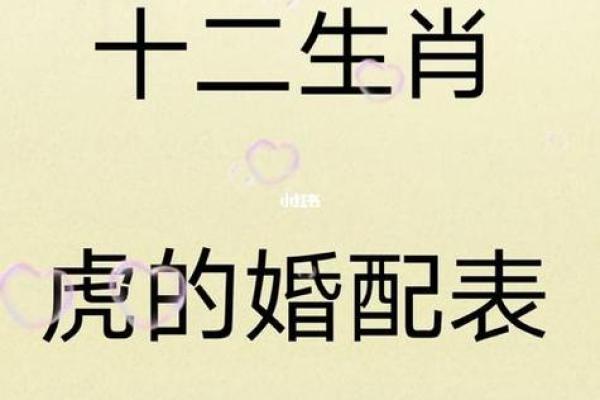 2024年哪天适合结婚男猪女虎 2024年哪天适合结婚男猪女虎