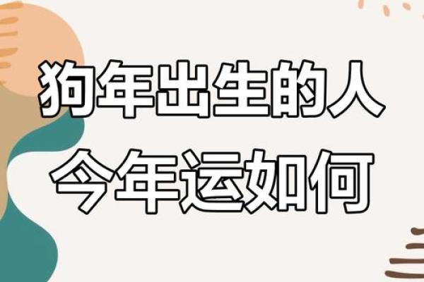2025年属狗的好不好_2025年属狗运势解析好运连连还是挑战重重