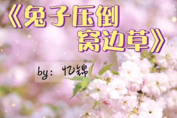 青梅竹马指什么生肖