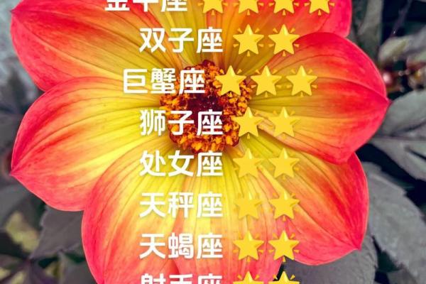 白羊座的运气好不好(白羊的运势如何)