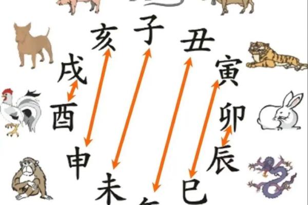 信口开河是什么生肖 信口开河是什么生肖