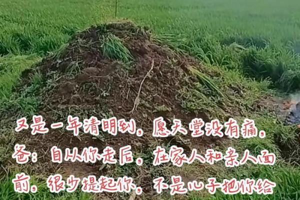 今年坟地动土好不好(今年坟墓哪一个方向大吉) 今年坟地动土好不好(今年坟墓哪一个方向大吉)