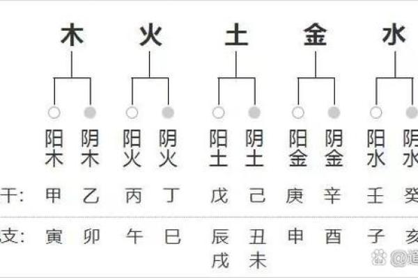 2000年属龙五行属什么命_属龙什么命五行属性表 2000年属龙五行属什么命_属龙什么命五行属性表