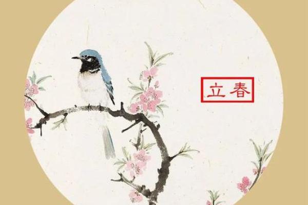 2016立春 2016立春