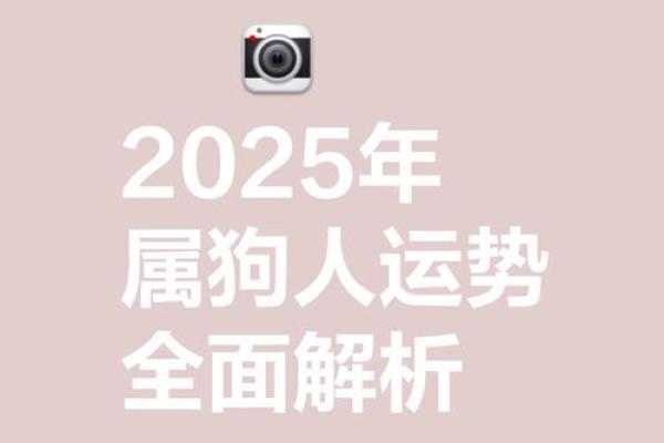 2025年属狗的_2025年属狗运势解析事业财运感情全攻略 2025年属狗的_2025年属狗运势解析事业财运感情全攻略