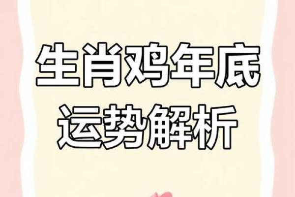 属鸡人2024年全年运势运程_属鸡人2024年运势详解全年运程大揭秘 属鸡人2024年全年运势运程_属鸡人2024年运势详解全年运程大揭秘