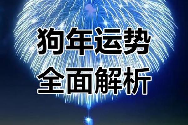 1994年属狗2025年运势完整版 1994年属狗2025年运势详解全年运程完整版