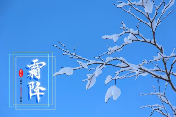 2023年霜降是几月几号